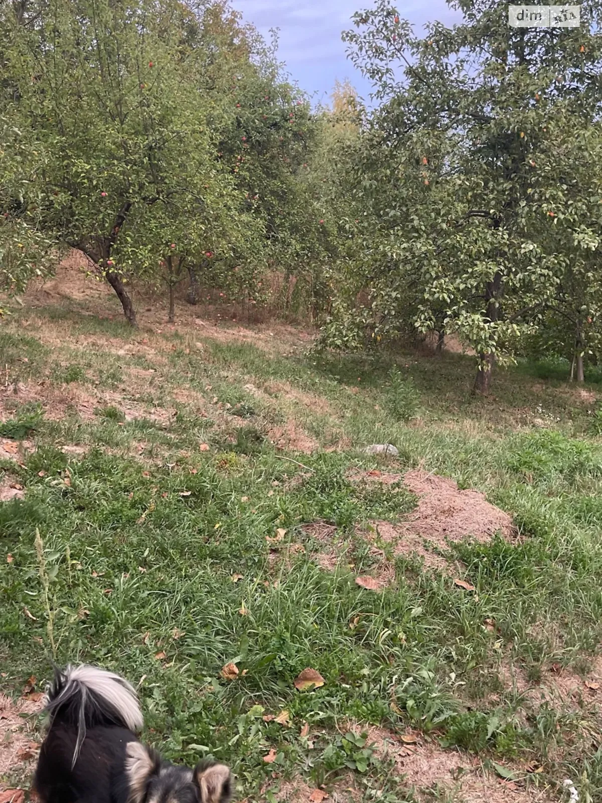 Продається земельна ділянка 14 соток у Вінницькій області, цена: 26000 $ - фото 1
