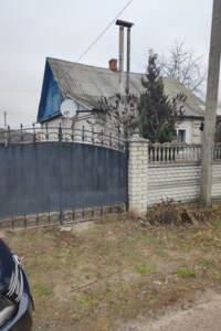 Продаж будинку, Житомирська, Довжик