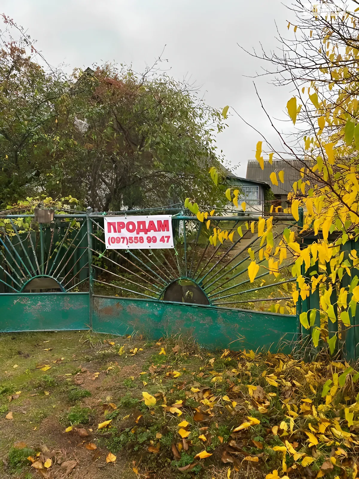 Продается одноэтажный дом 63.2 кв. м с подвалом, цена: 8000 $ - фото 1