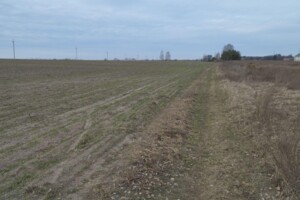 Продажа участка под жилую застройку, Киевская, Ясногородка (Макаров), Богушовская улица