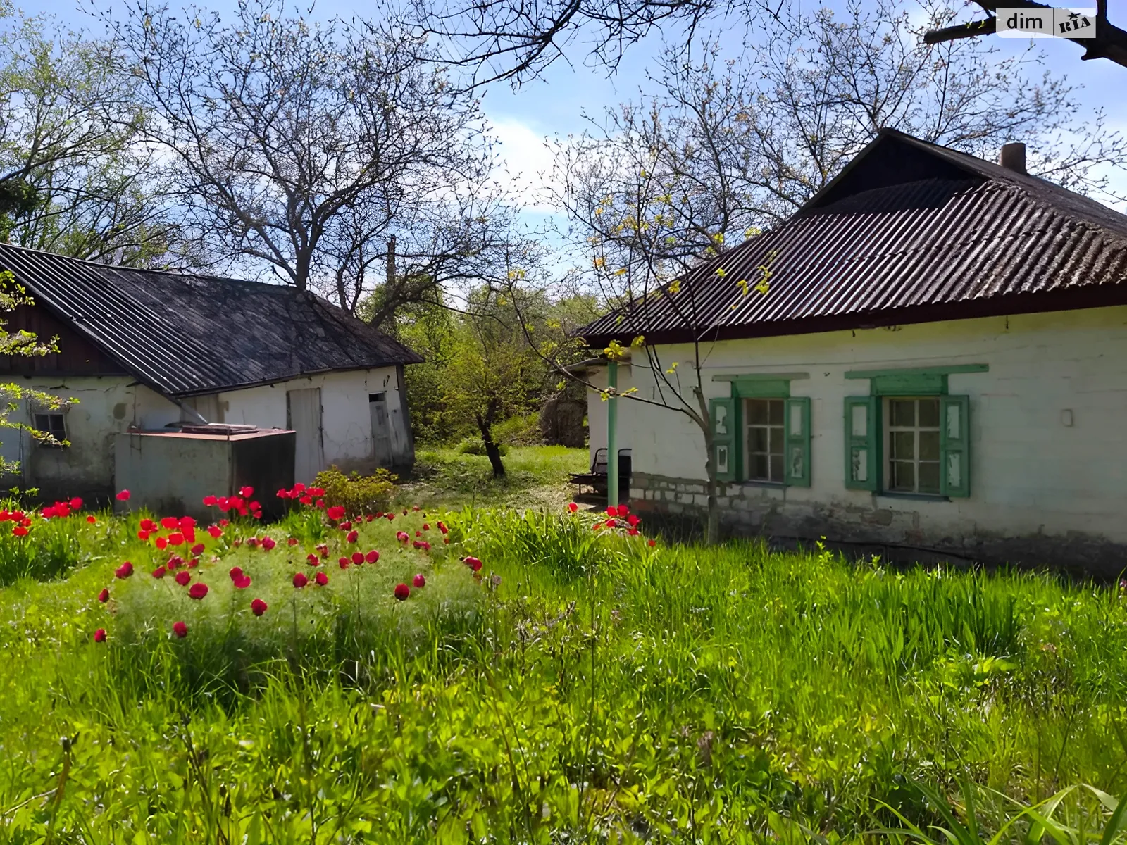 Продается земельный участок 25 соток в Полтавской области, цена: 3700 $ - фото 1
