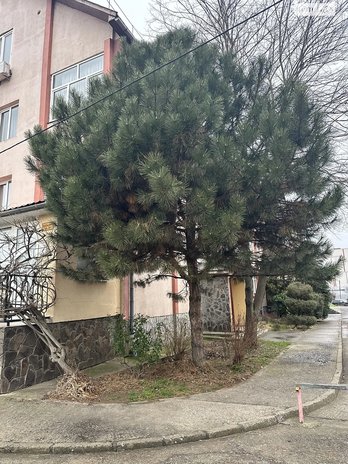 Продается 4-комнатная квартира 211.2 кв. м в Ужгороде, цена: 140000 $ - фото 1