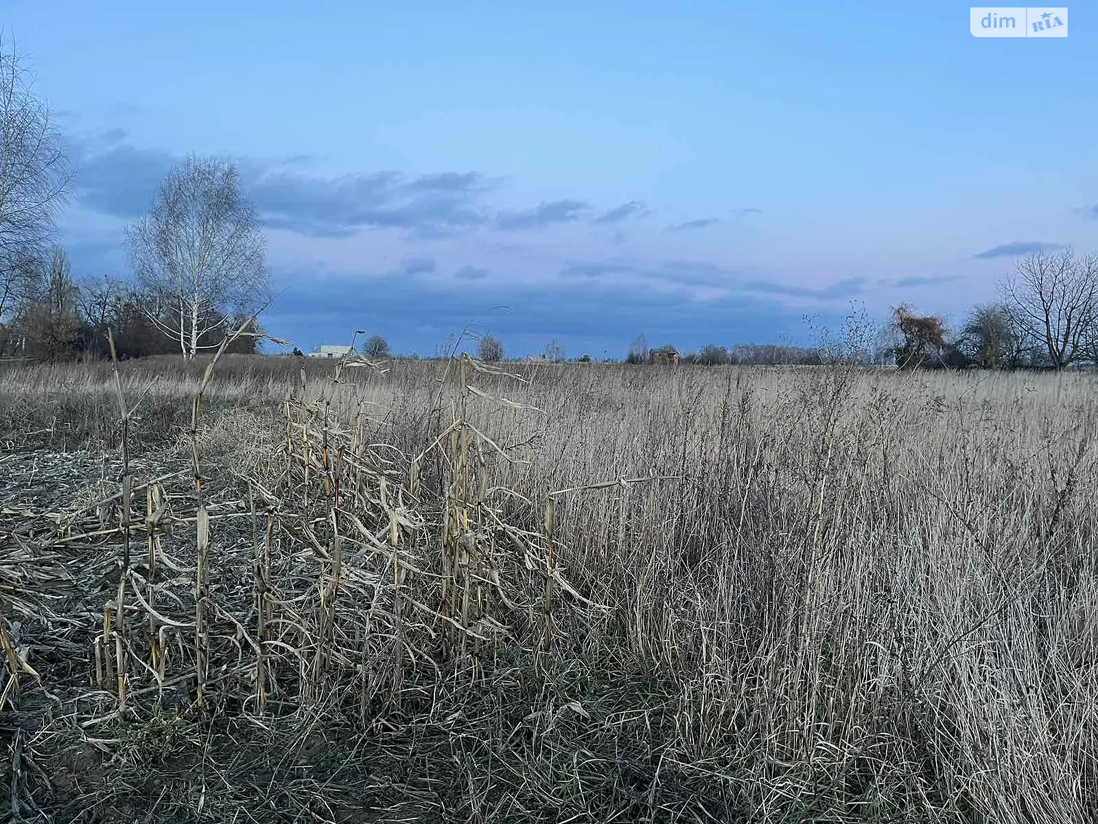 Продається земельна ділянка 20 соток у Вінницькій області, цена: 16000 $ - фото 1
