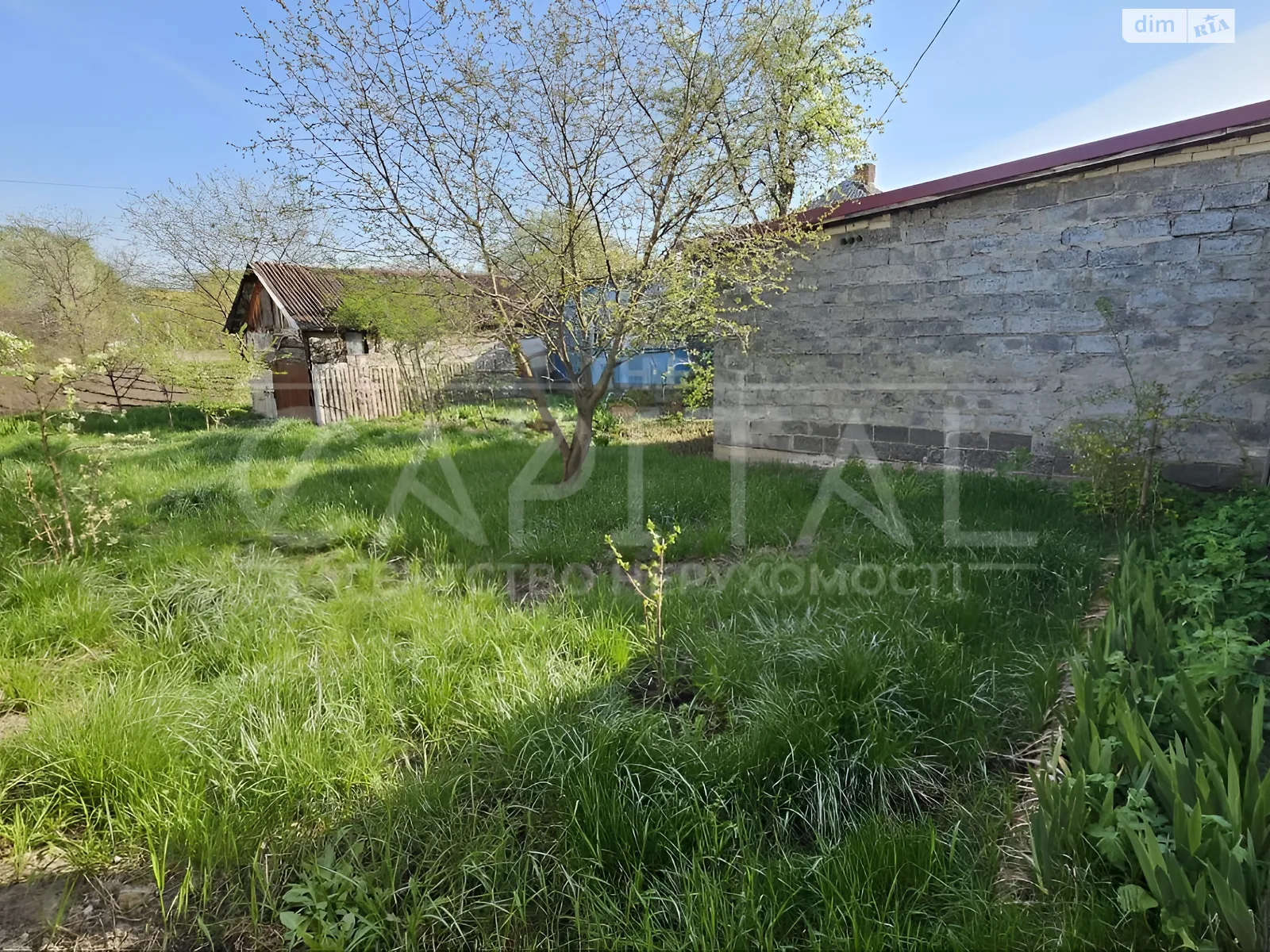 Продается земельный участок 10 соток в Киевской области, цена: 80000 $ - фото 1