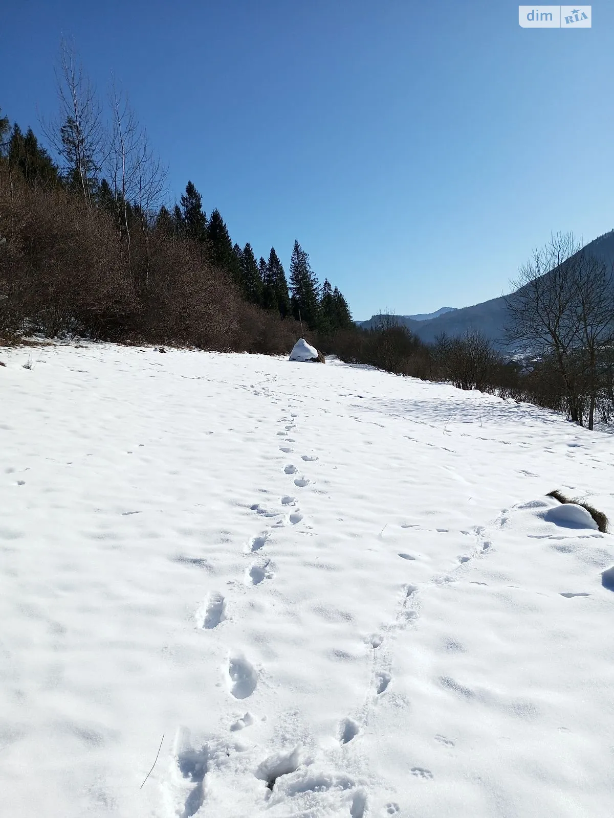 Продается земельный участок 22.21 соток в Львовской области, цена: 32000 $ - фото 1