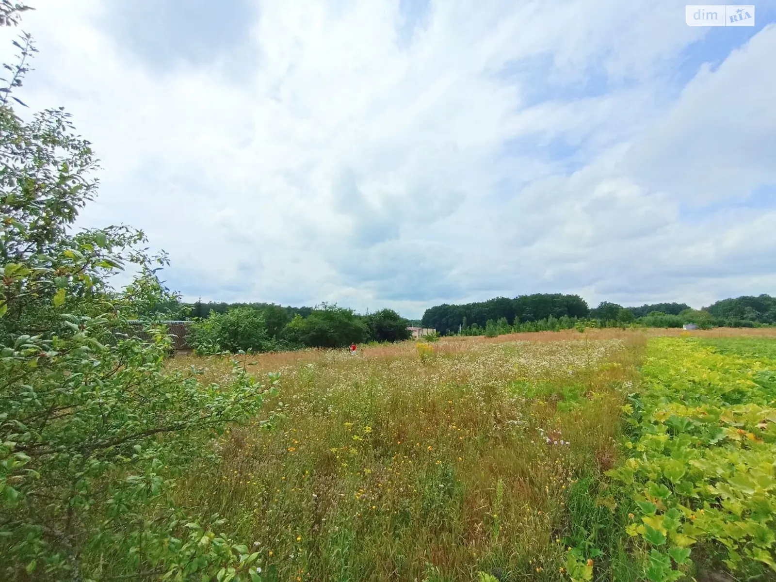 Продається земельна ділянка 25 соток у Хмельницькій області, цена: 13000 $ - фото 1