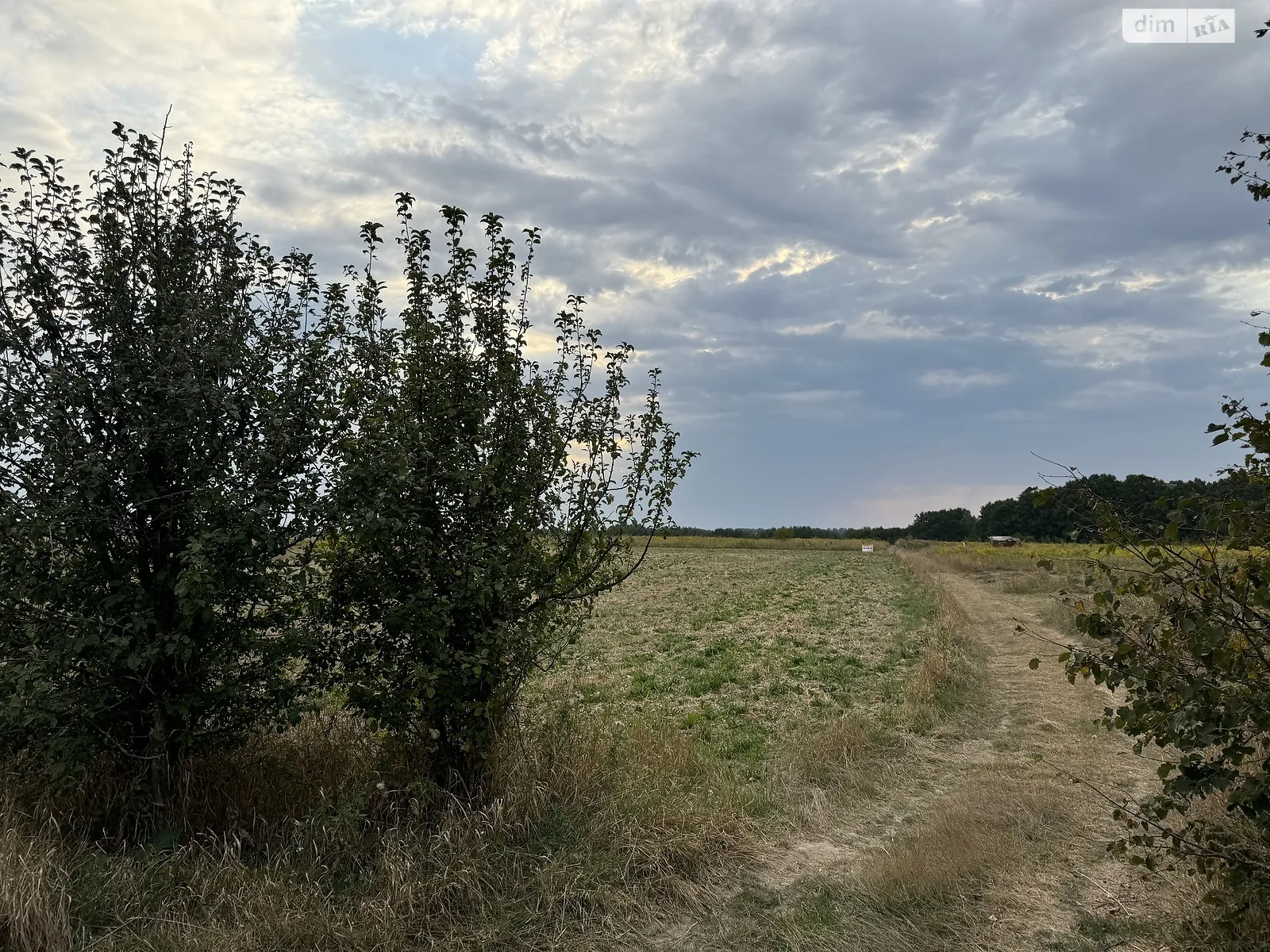 вул. Горіхова Якушинці - фото 2