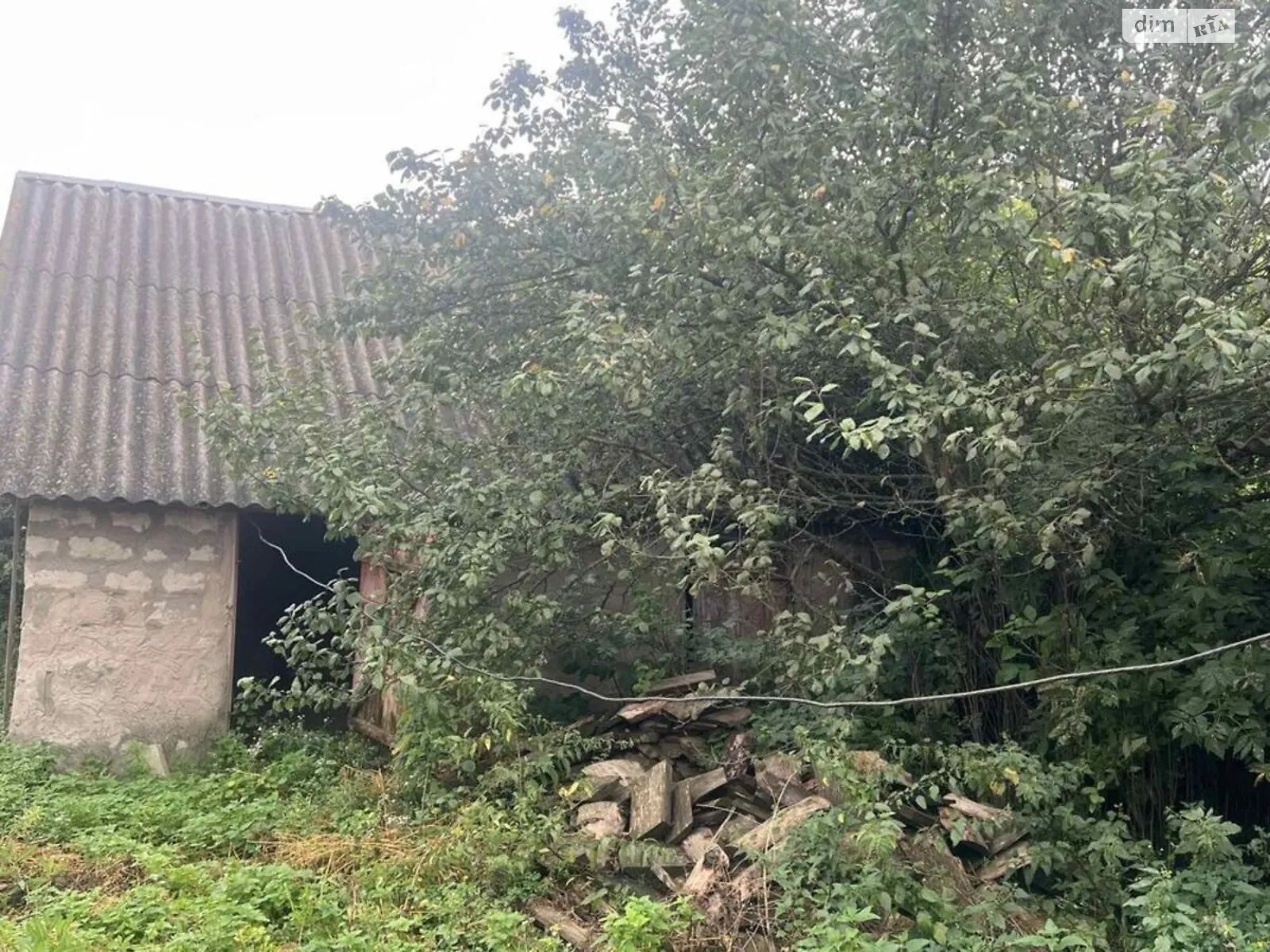 Продается земельный участок 26 соток в Житомирской области, цена: 11000 $ - фото 1