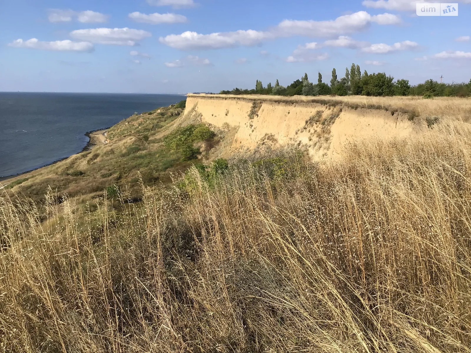 Продається земельна ділянка 25 соток у  області, цена: 50000 $ - фото 1