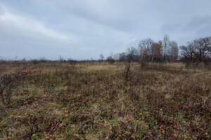Продажа земли сельскохозяйственного назначения, Львовская, Дроговиж