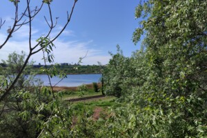 Продажа земли сельскохозяйственного назначения, Одесская, Таирово, Ак. Лянного улица