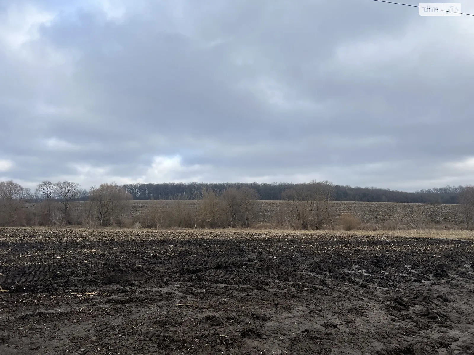 Прибузьке, цена: 80000 $ - фото 1