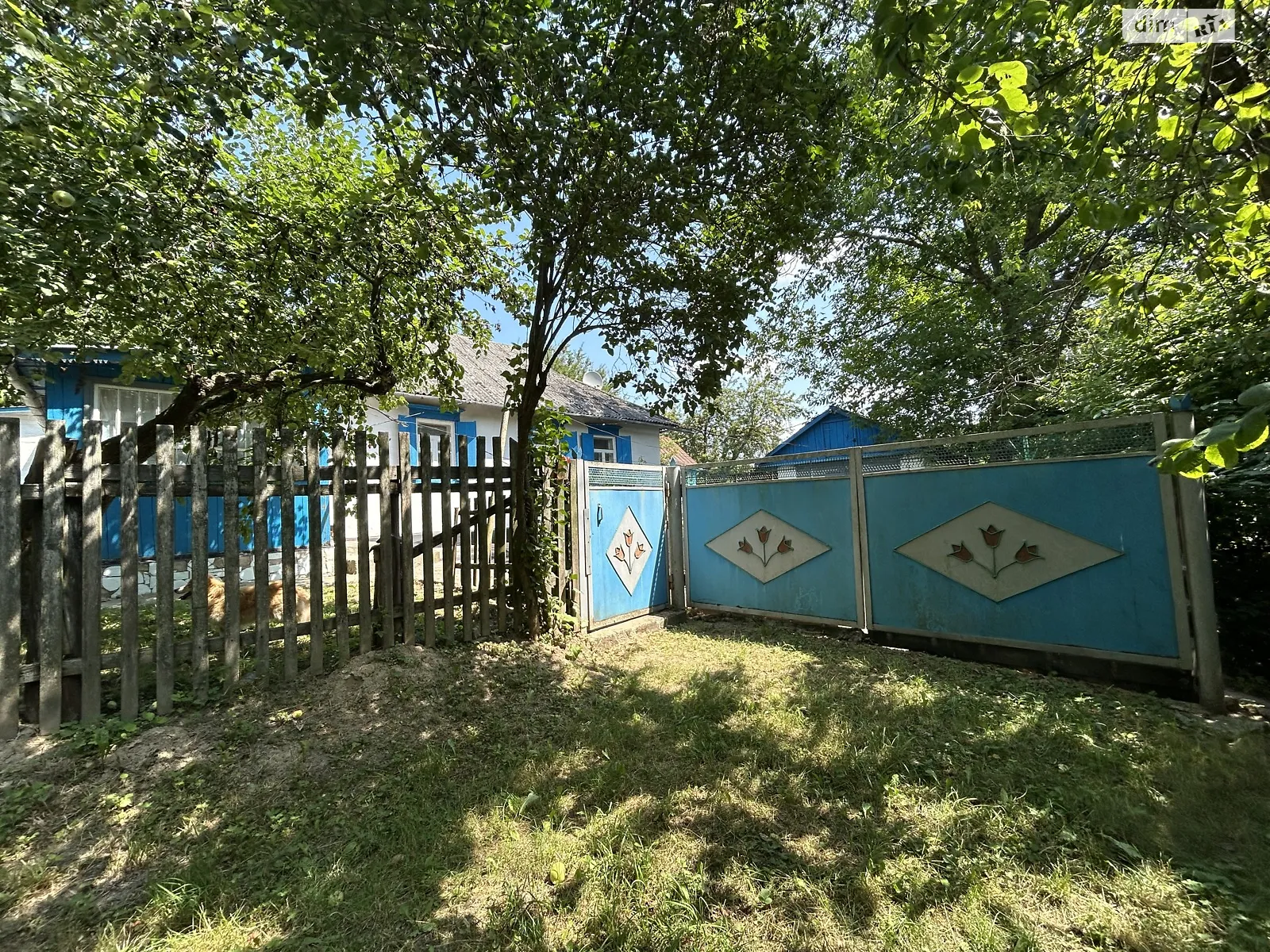 Тараща, цена: 14000 $ - фото 1