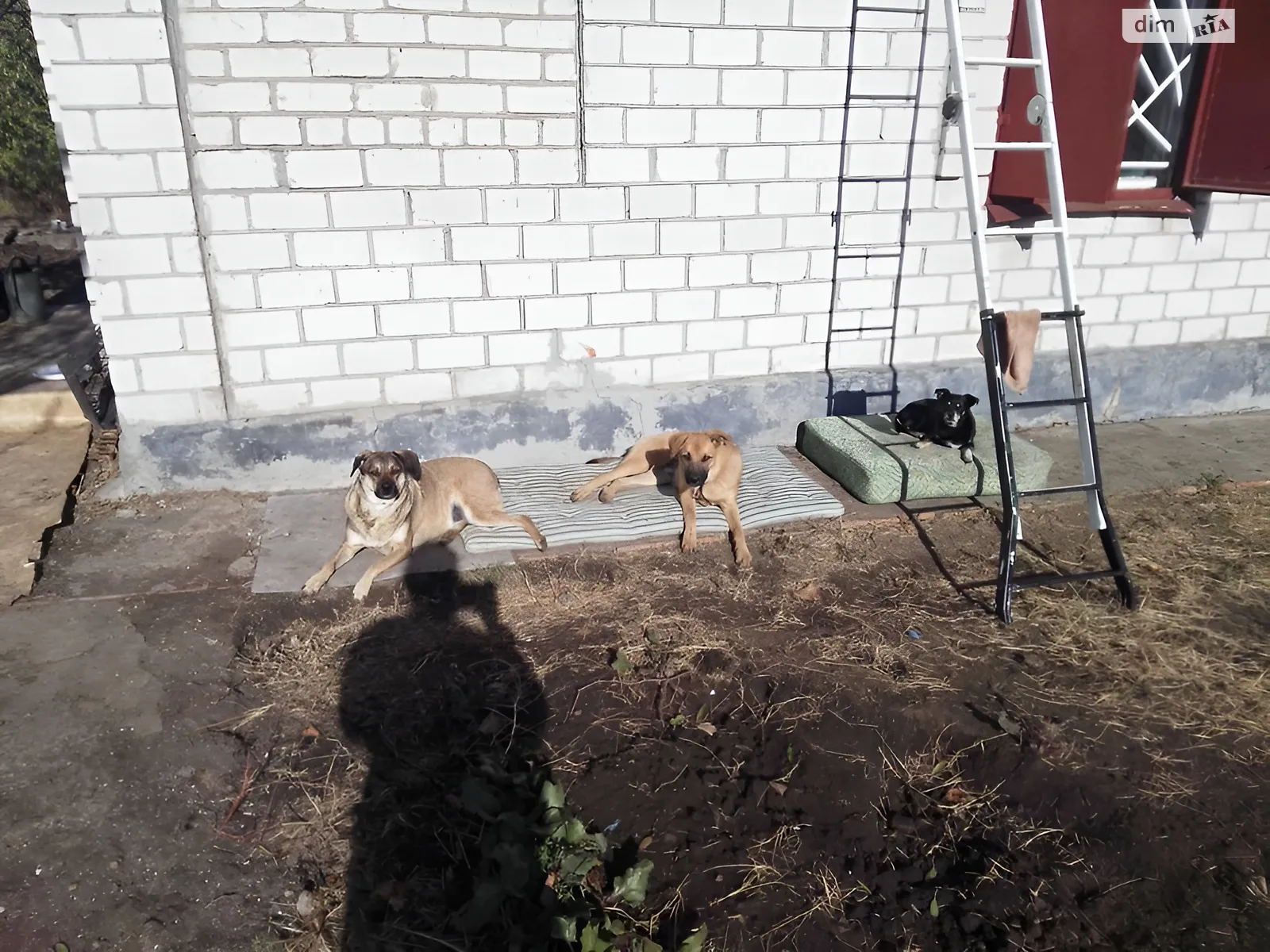 Продається одноповерховий будинок 40 кв. м з мансардою, цена: 3800 $ - фото 1