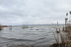 Куплю земельный участок в Переяславе-Хмельницком без посредников