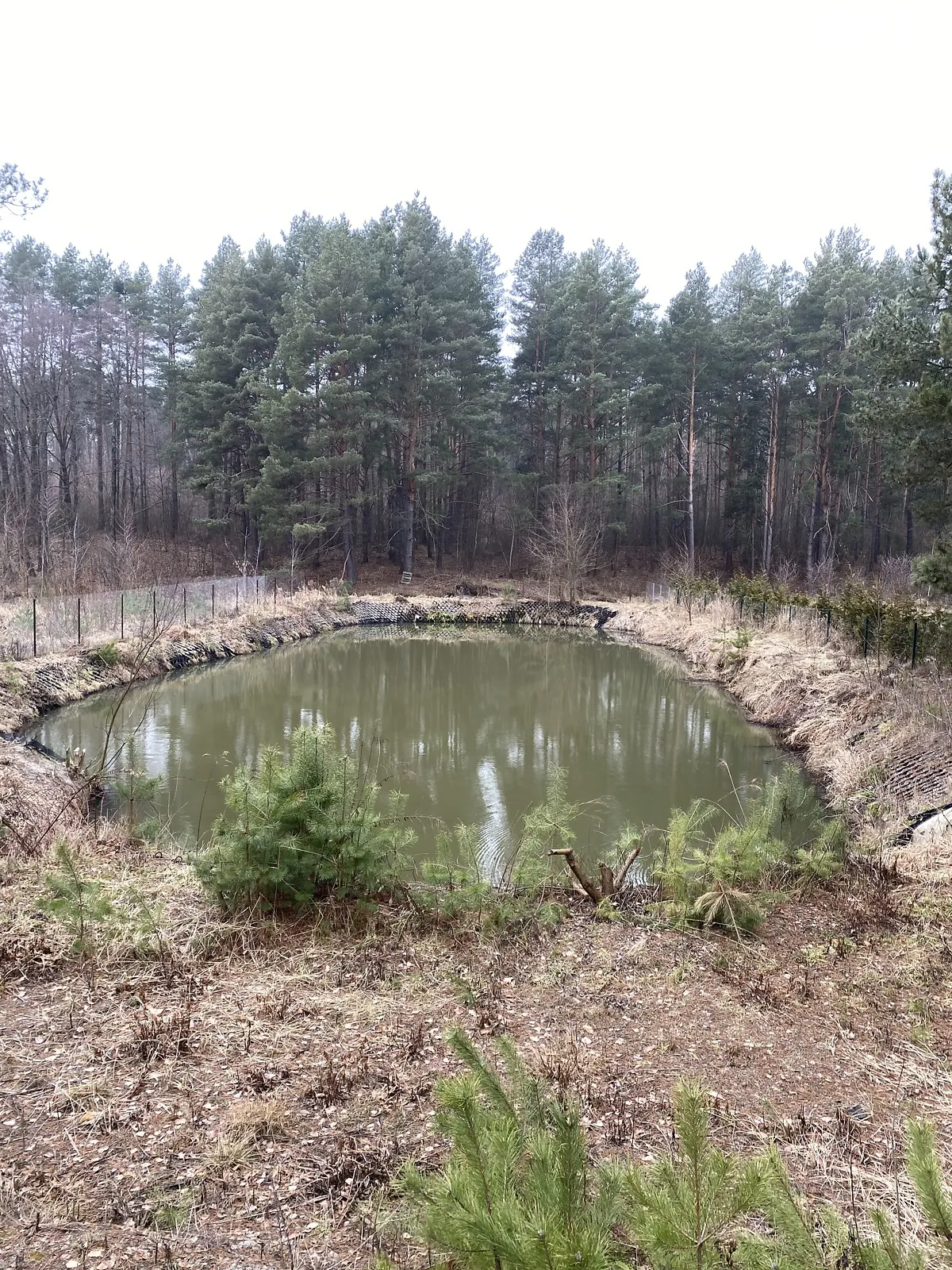 Продается земельный участок 11 соток в Житомирской области, цена: 40000 $ - фото 1