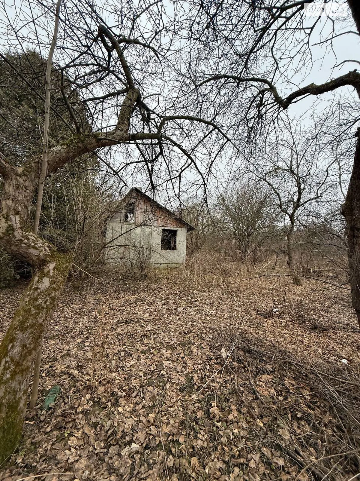 Шевченківський Львів, цена: 30000 $ - фото 1