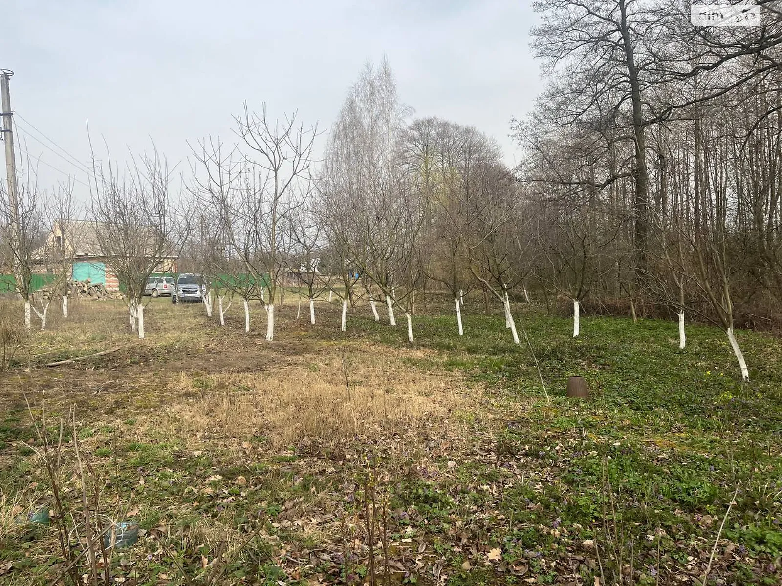 Продается земельный участок 27 соток в Винницкой области, цена: 20000 $ - фото 1