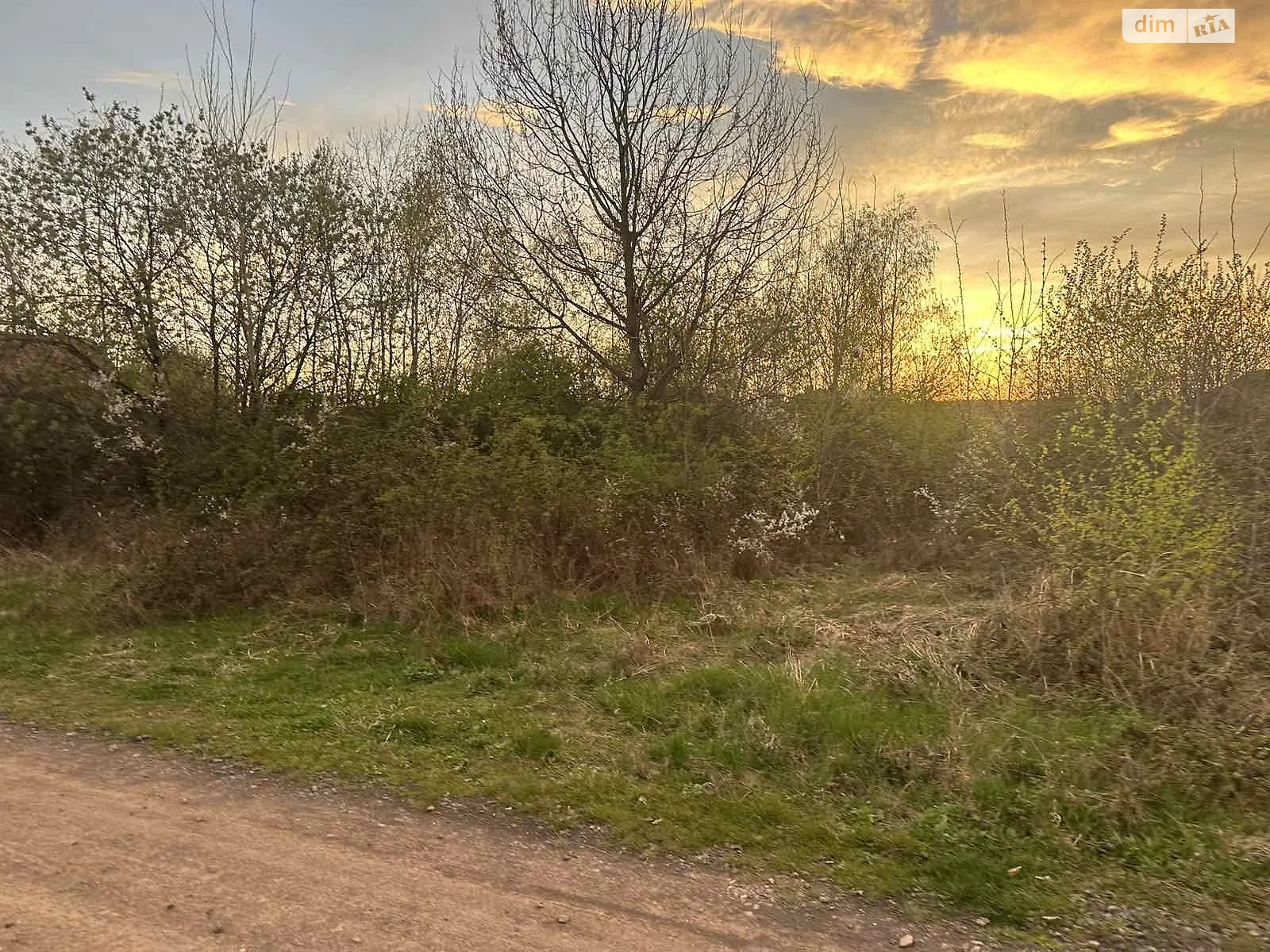 вул. Виноградна Оноківці, цена: 30000 $ - фото 1