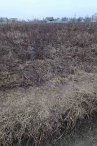 Куплю земельный участок в Хмельнике без посредников