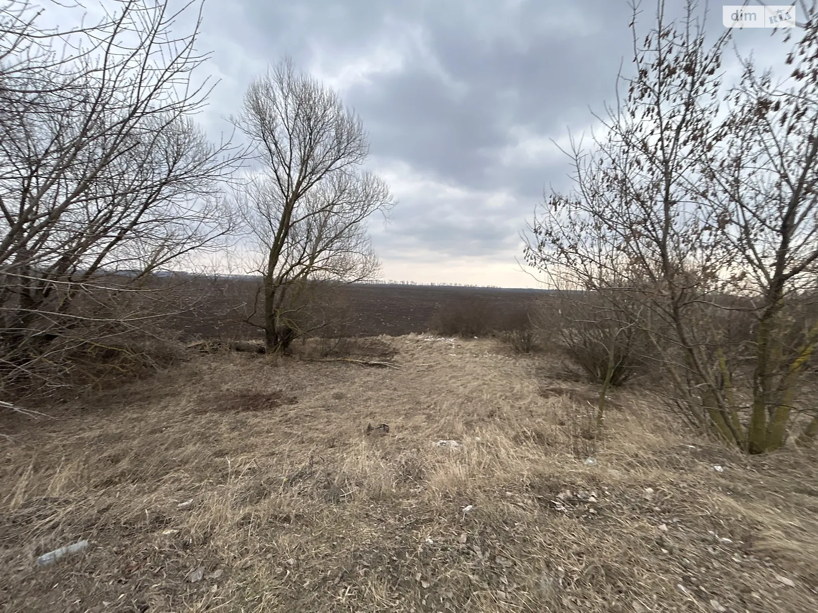 Острая Могила, цена: 400000 $ - фото 1