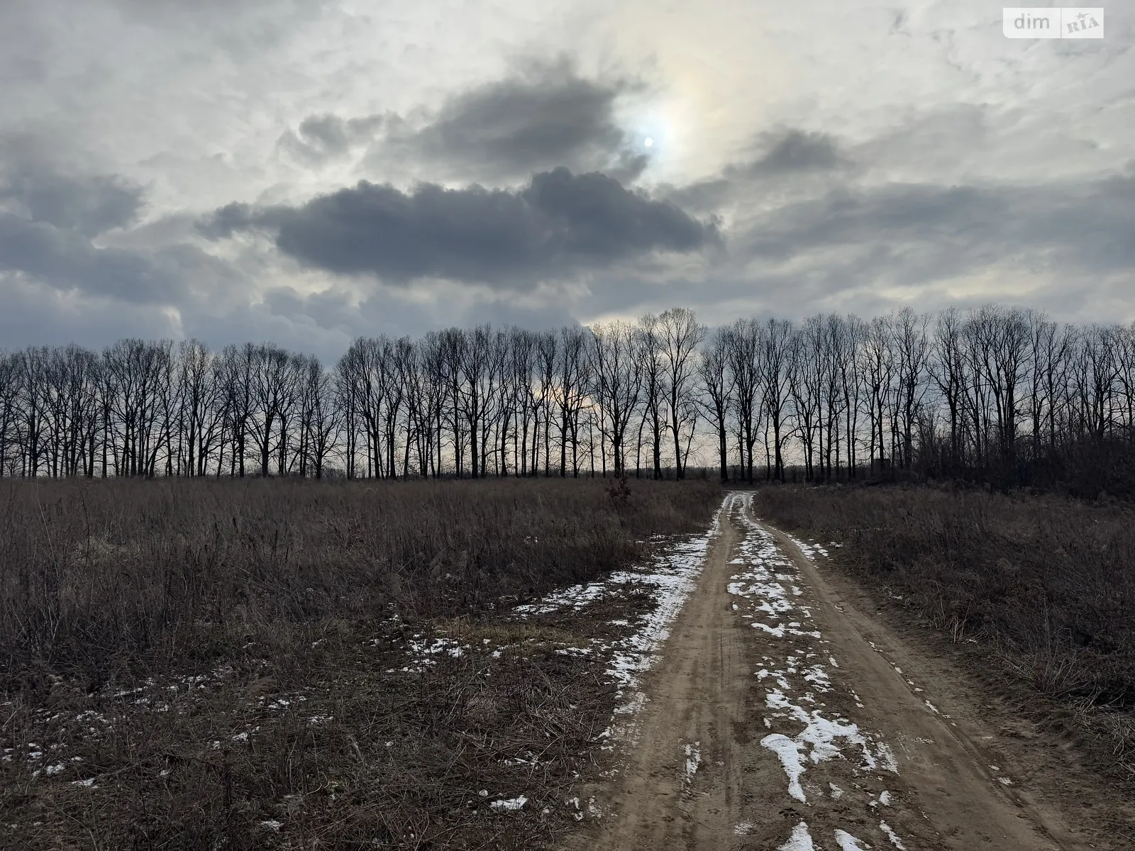 7-й пер. Леоніда Каденюка(Комарова) Агрономичное, цена: 20000 $ - фото 1
