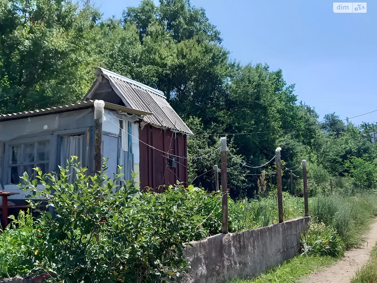 Червоний Садо́к Новоолександрівка (Братське), цена: 30000 грн - фото 1