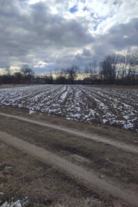 Продажа участка под жилую застройку, Винницкая, Комаров, Грушевского улица