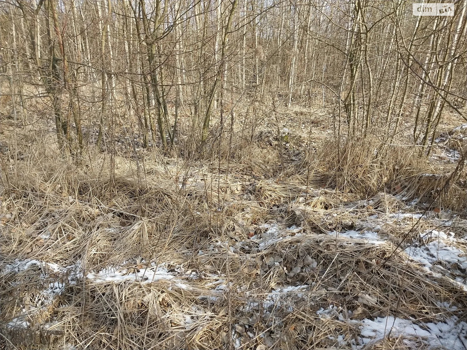 Продається земельна ділянка 8 соток у Вінницькій області, цена: 2500 $ - фото 1