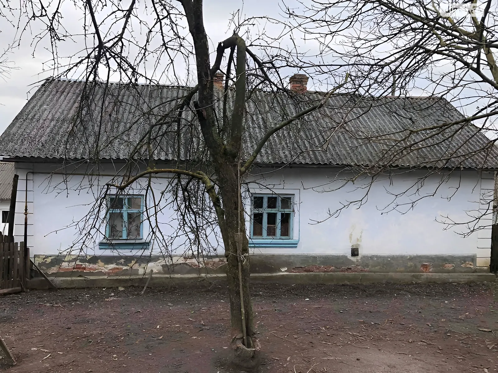 Котов, цена: 2700 $ - фото 1