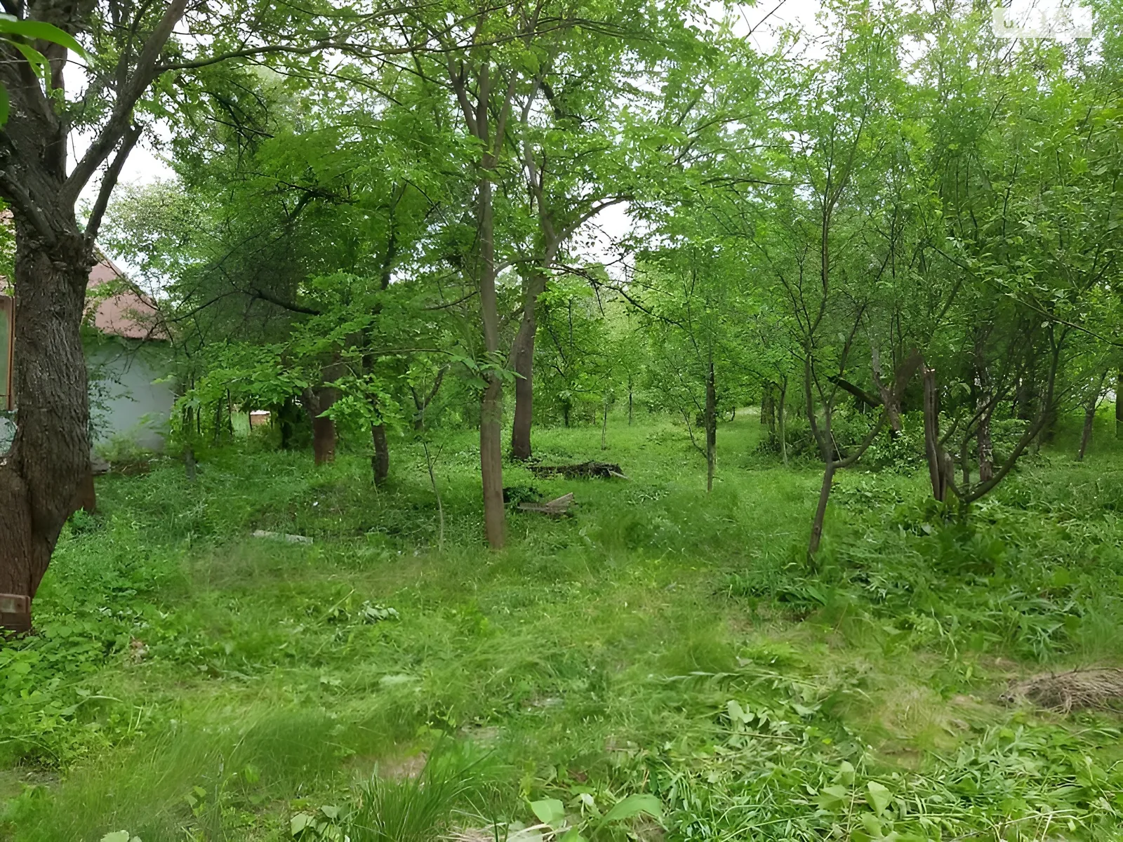 Продается земельный участок 5.99 соток в Полтавской области, цена: 4000 $ - фото 1