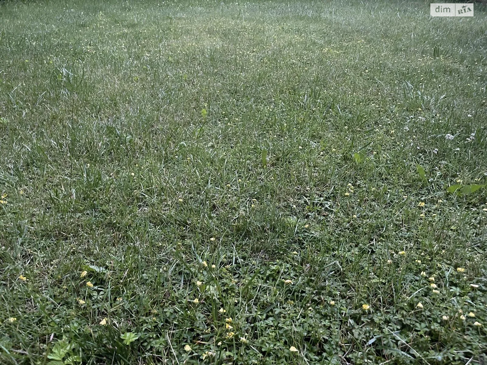 Продается земельный участок 550 соток в Тернопольской области, цена: 1430000 $ - фото 1