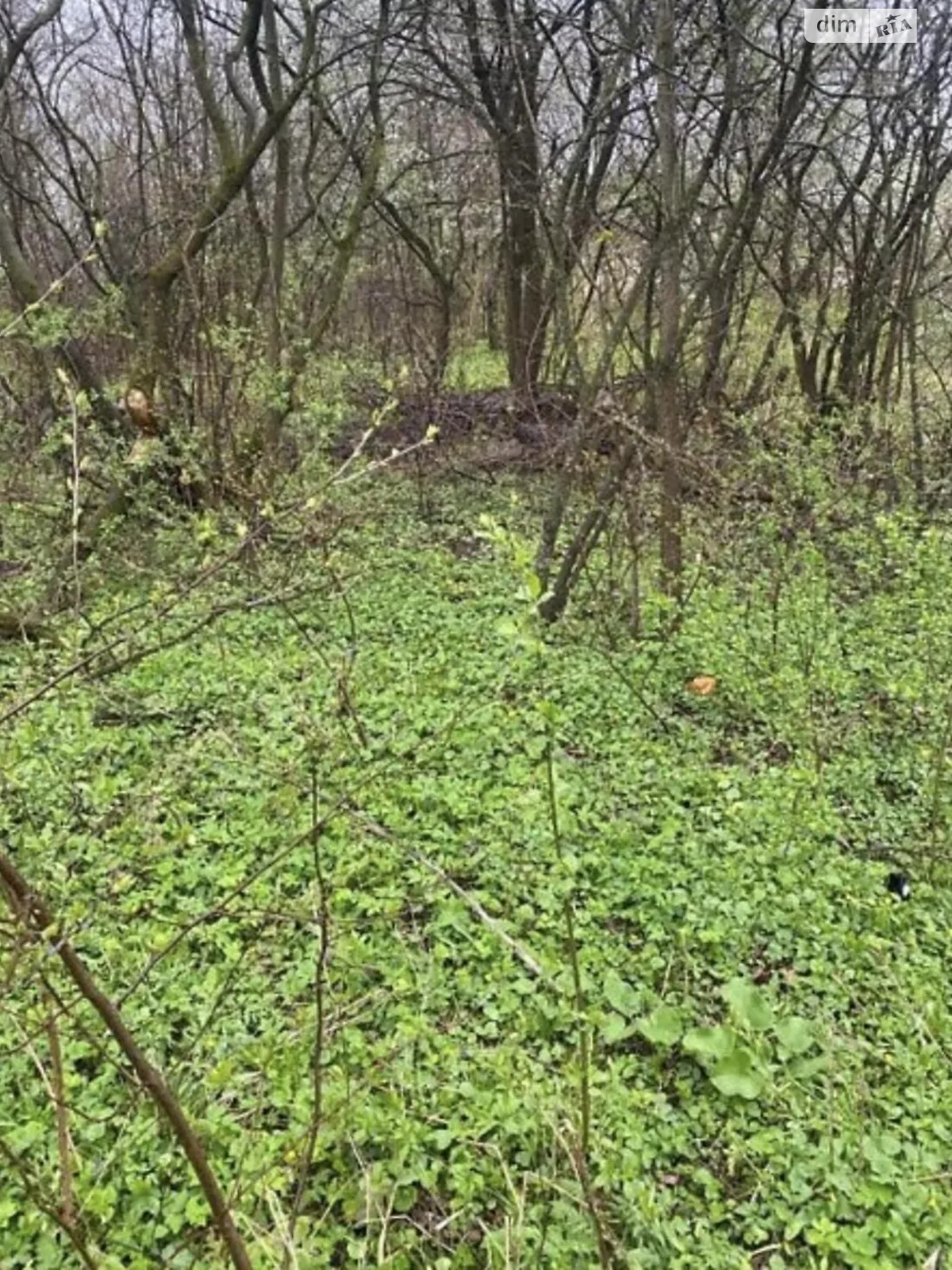 Продается земельный участок 70 соток в Тернопольской области, цена: 413000 $ - фото 1