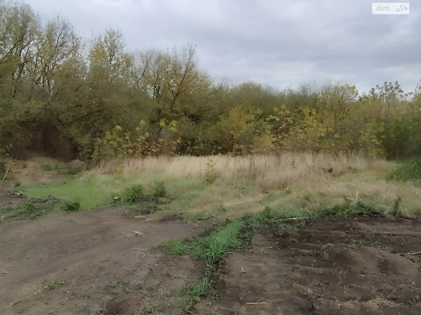 Продается земельный участок 6 соток в Тернопольской области, цена: 8000 $ - фото 1