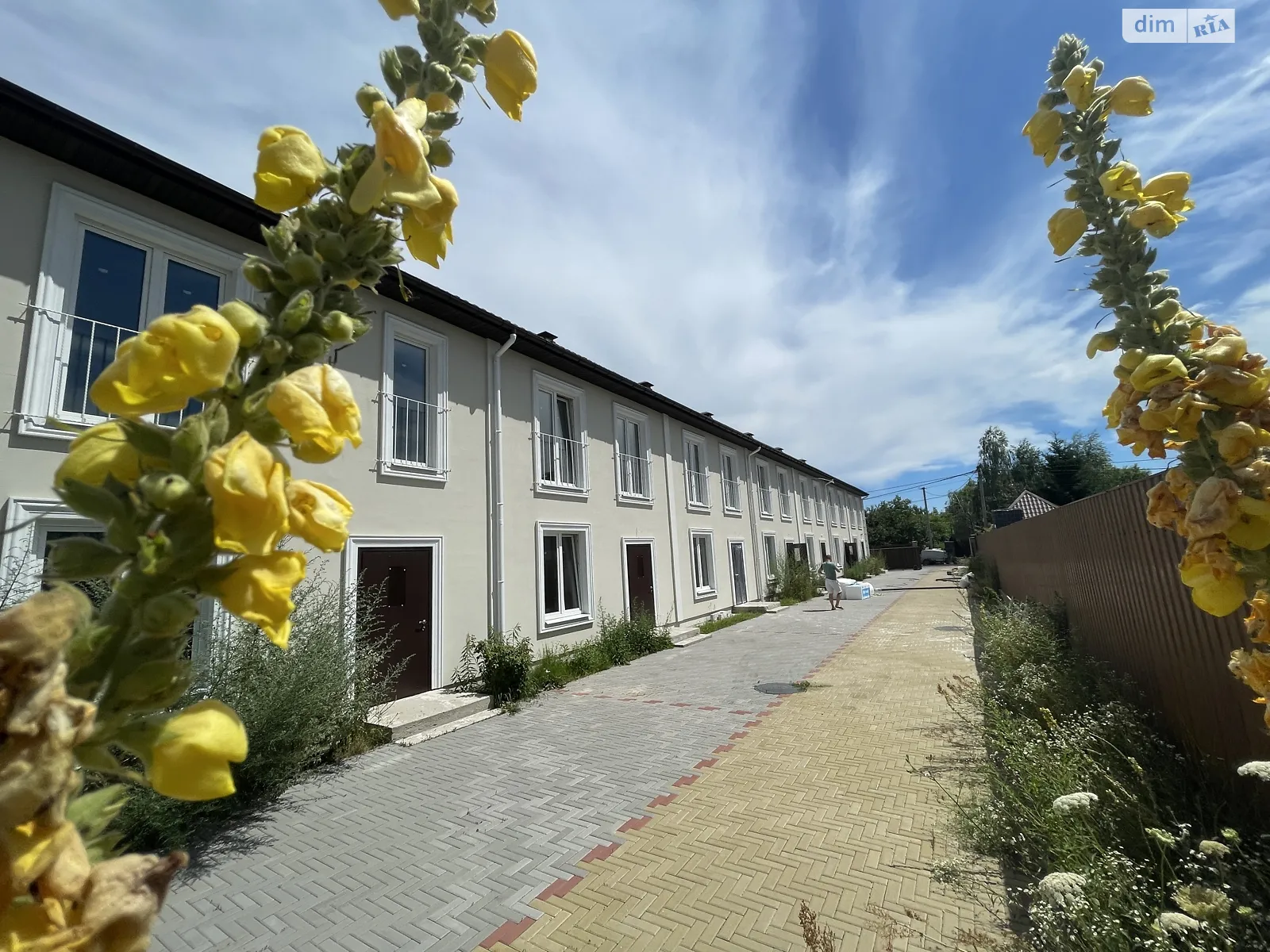 вул. Святомихайлівська Святопетрівське, цена: 77000 $ - фото 1