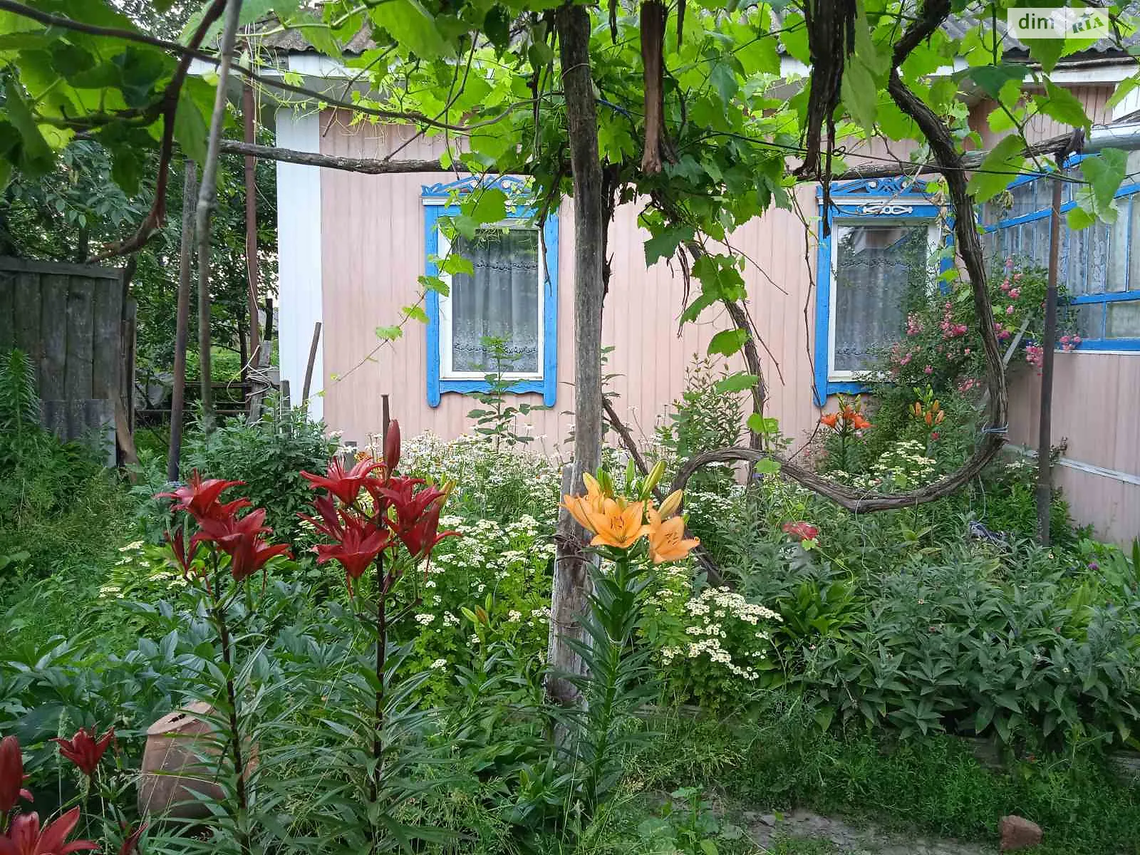 Киселевка (Мена), цена: 3500 $ - фото 1