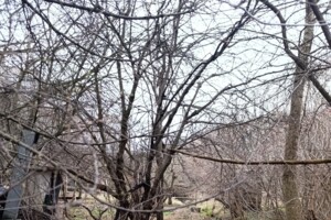 Продаж ділянки під житлову забудову, Вінниця, р‑н. Слов'янка, Малий провулок