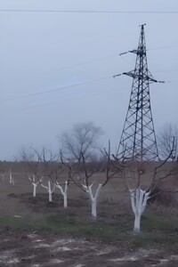 Куплю земельный участок в Вознесенске без посредников