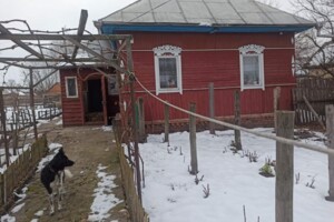 Куплю дом Черниговской области
