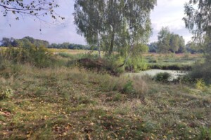 Продаж землі сільськогосподарського призначення, Рівненська, Руда-Красна