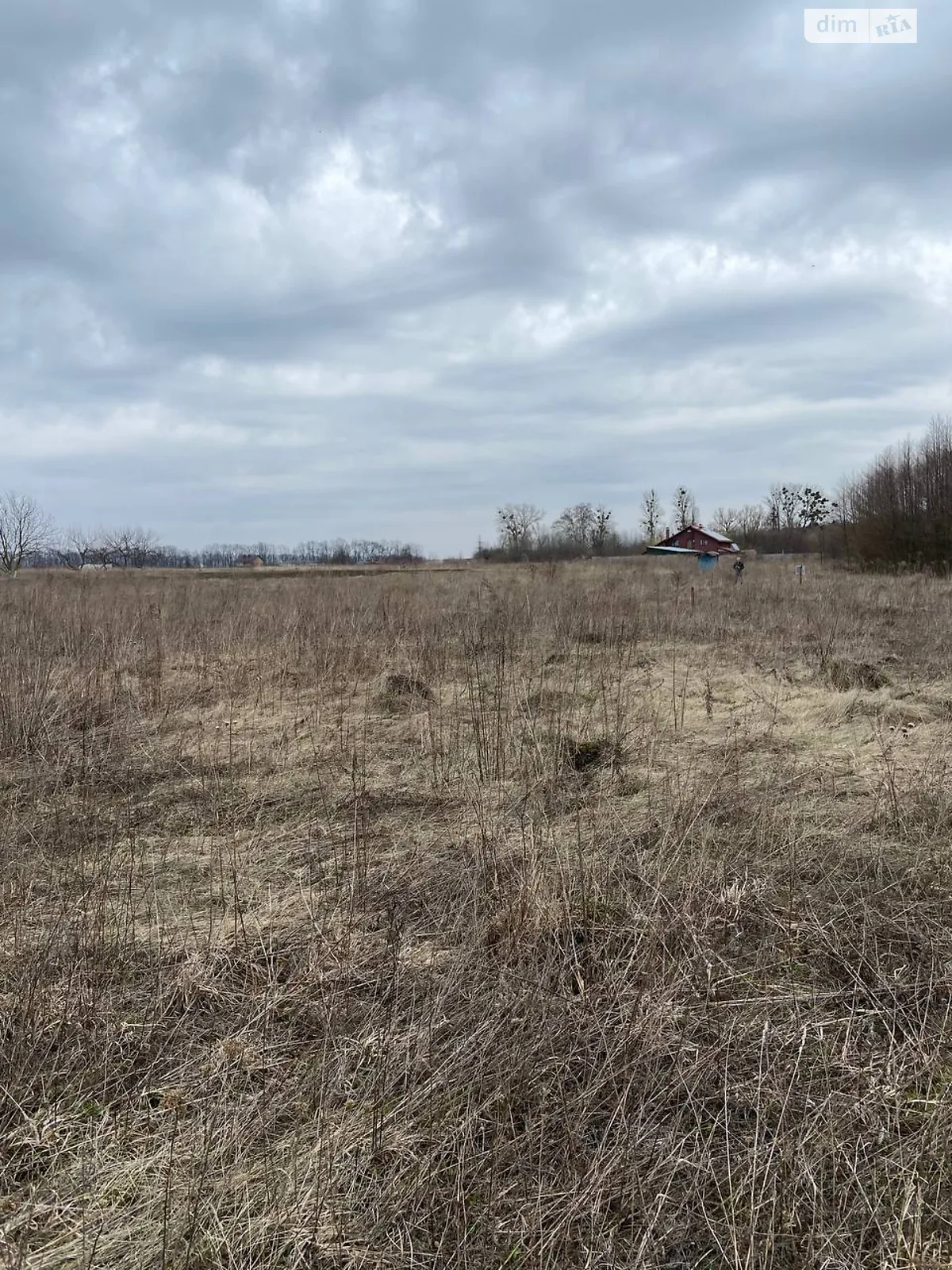 СТ Прибережний Агрономичное, цена: 10900 $ - фото 1