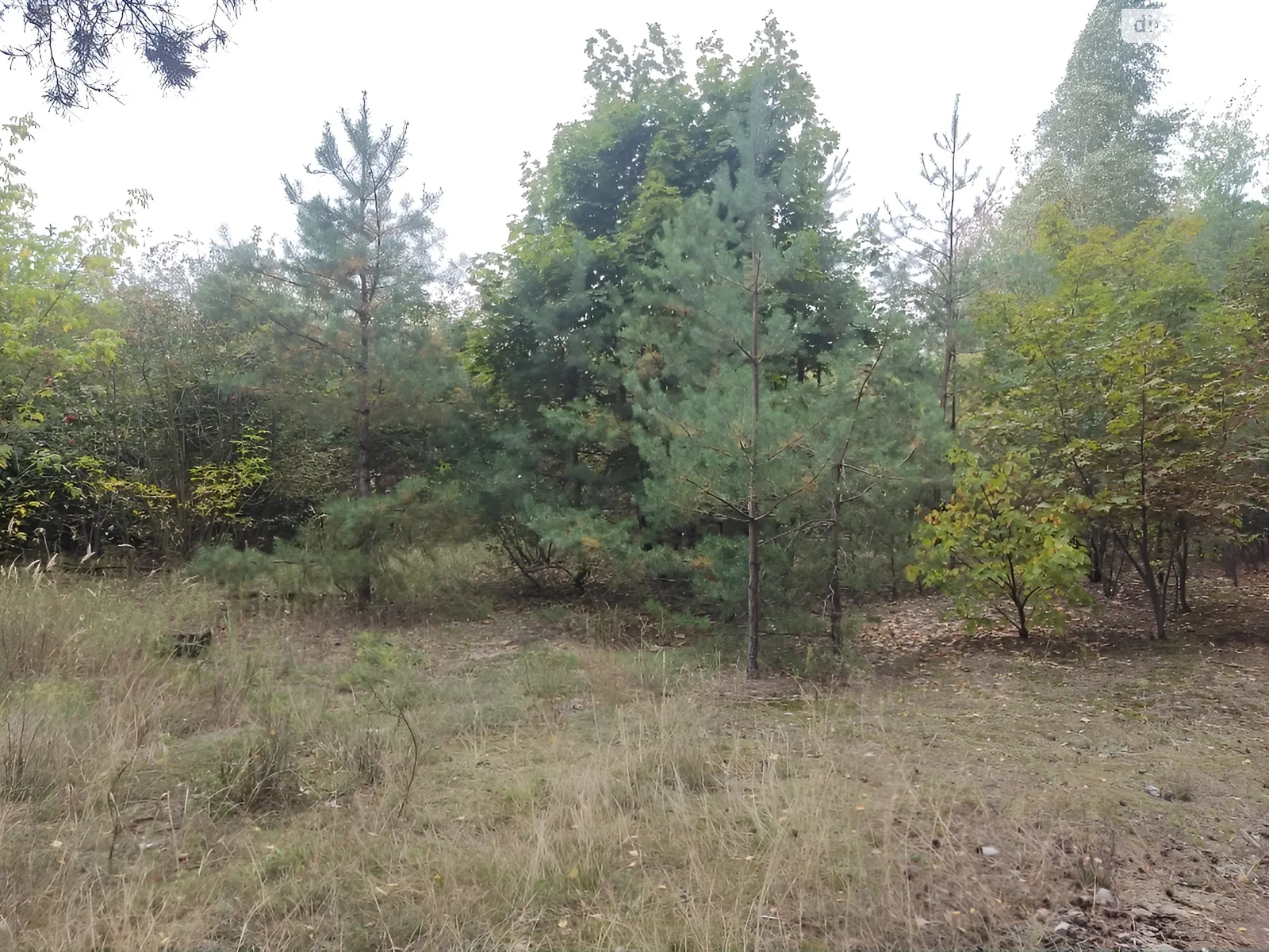 Продается земельный участок 10 соток в Киевской области, цена: 32000 $ - фото 1