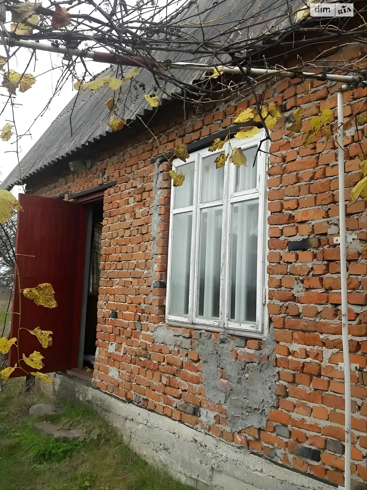 мас. Промінь Довжанка, цена: 8300 $ - фото 1