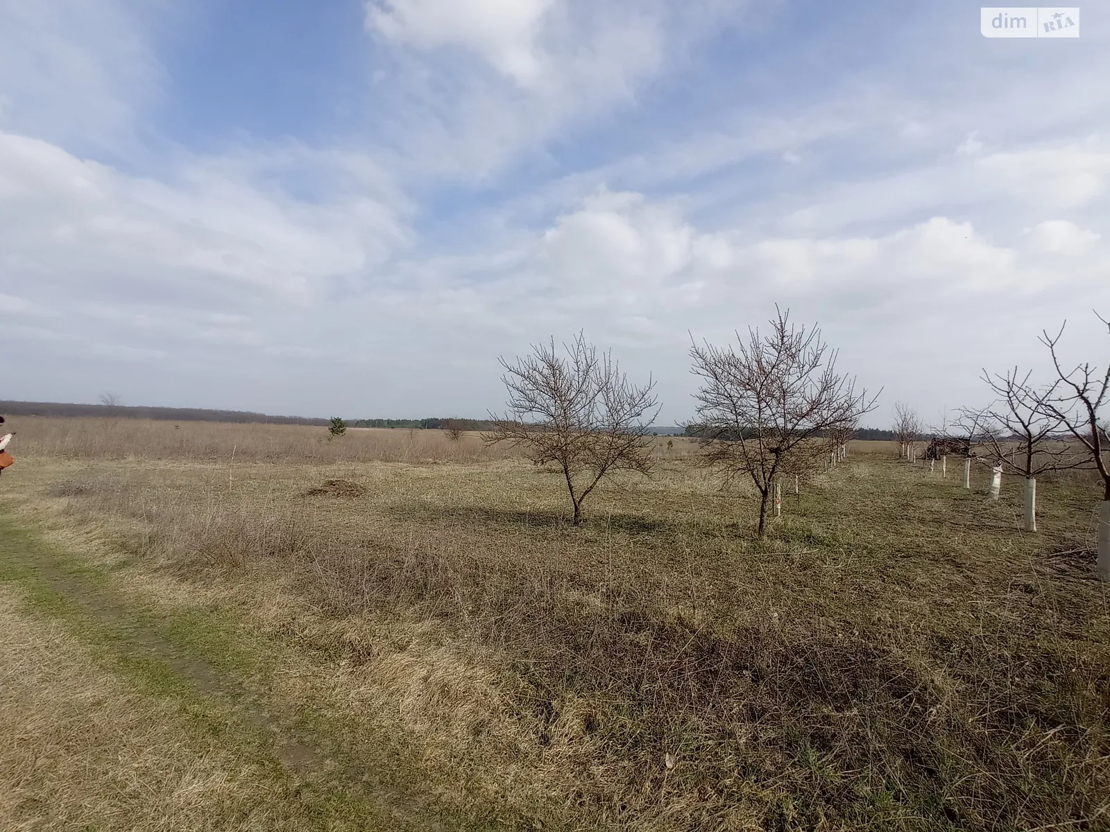 Продається земельна ділянка 10 соток у Вінницькій області, цена: 21000 $ - фото 1