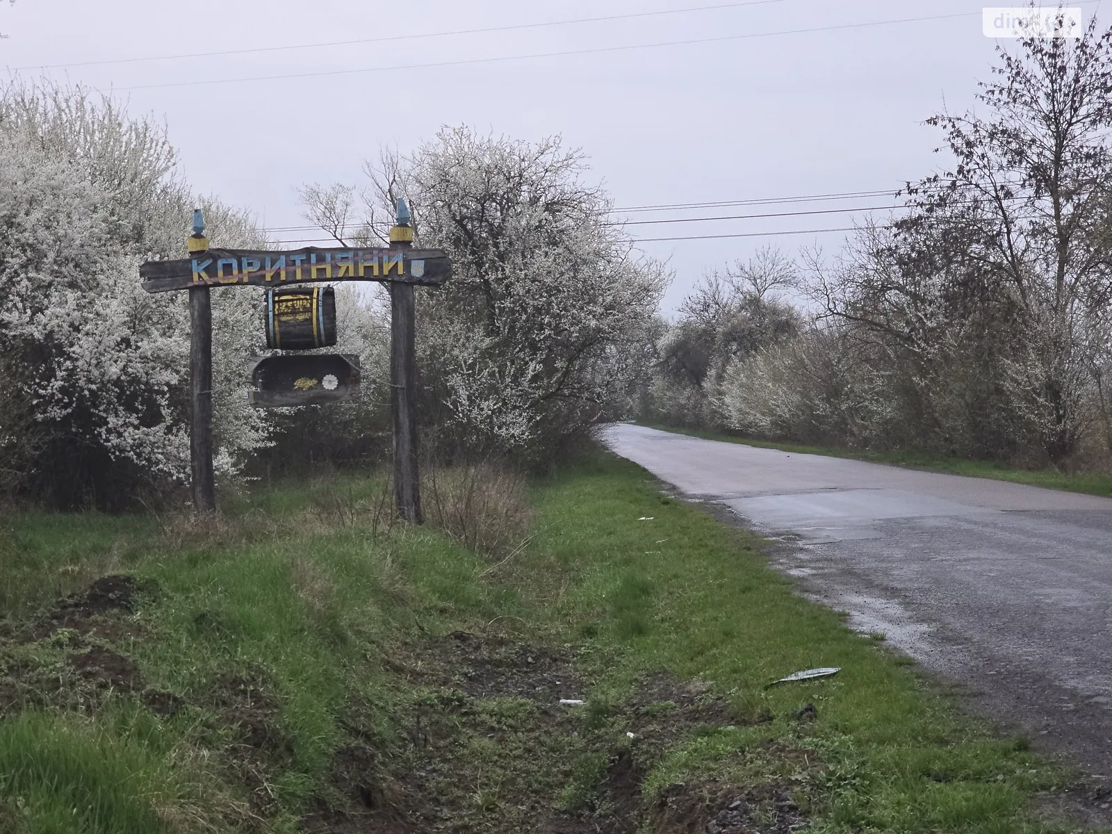 Продається земельна ділянка 11 соток у Закарпатській області, цена: 25000 $ - фото 1