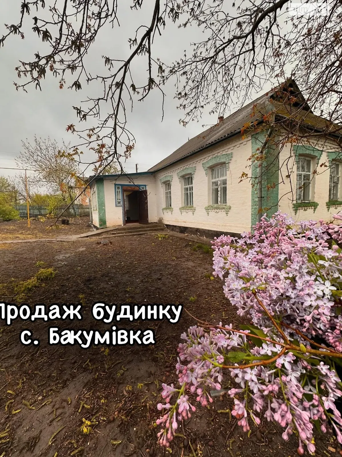 Продается одноэтажный дом 79.8 кв. м с участком, цена: 12000 $ - фото 1
