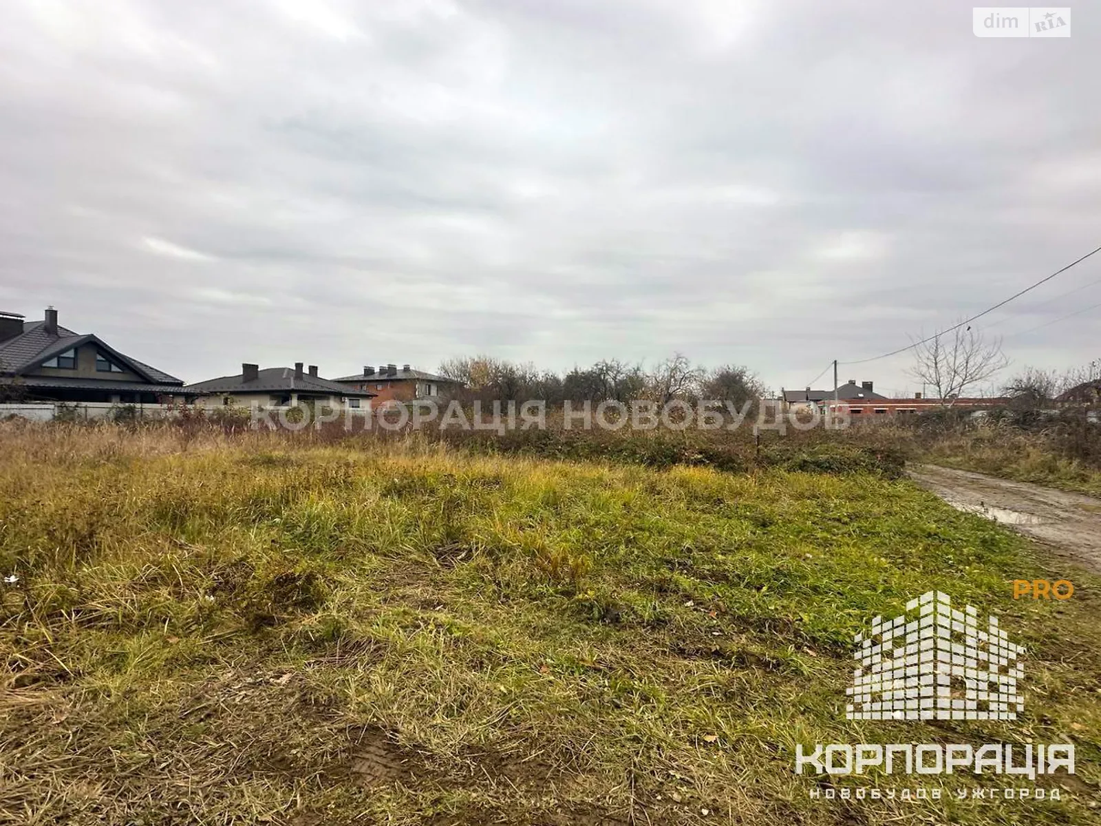 Продается земельный участок 10 соток в Закарпатской области, цена: 50000 $ - фото 1
