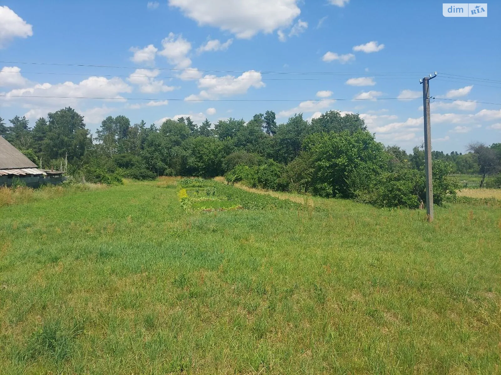 Продается земельный участок 15 соток в Житомирской области, цена: 6700 $ - фото 1