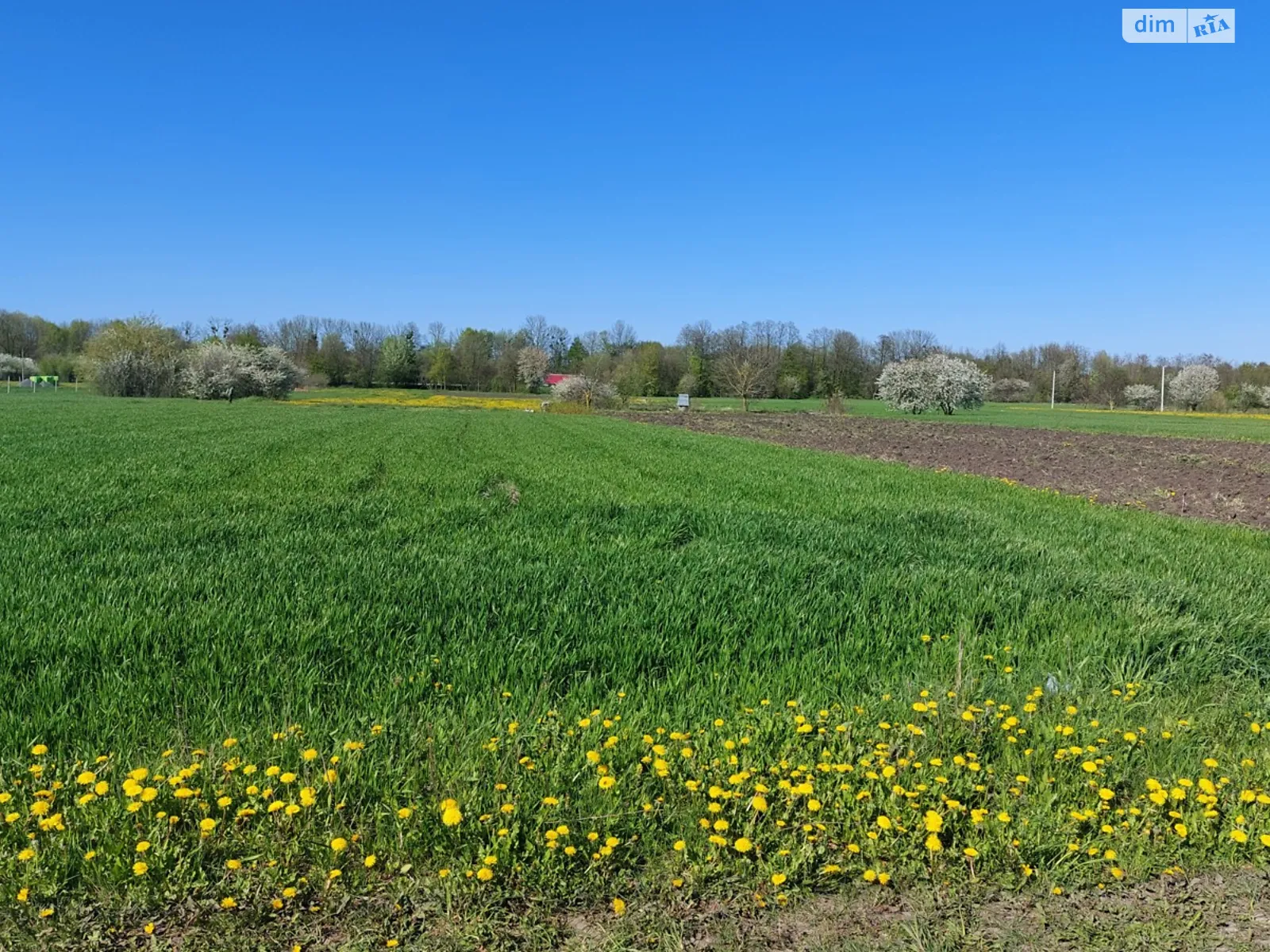 Продается земельный участок 25 соток в Винницкой области, цена: 17000 $ - фото 1