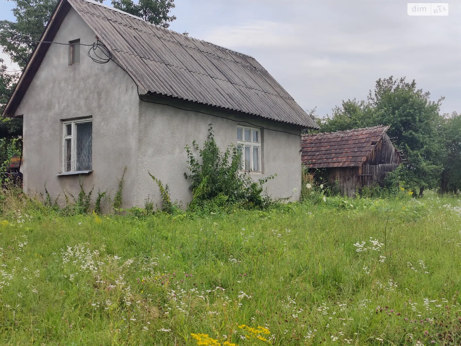 Продается земельный участок 0.25 соток в Закарпатской области, цена: 25000 $ - фото 1